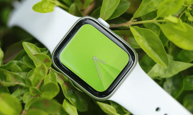 apple watch green screen