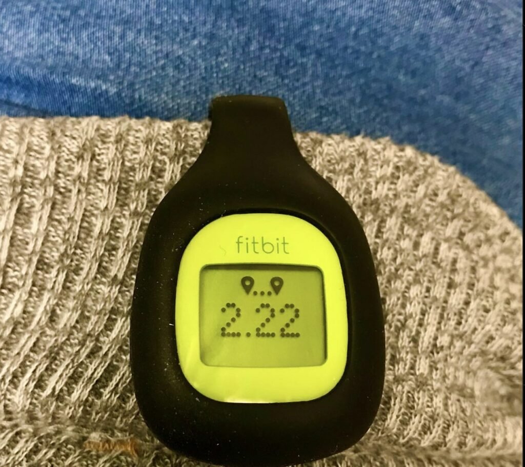 Fitbit Zip