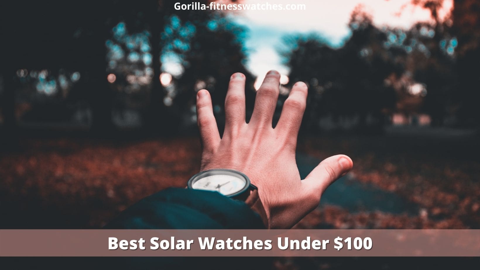 Best Solar Watches Under $100