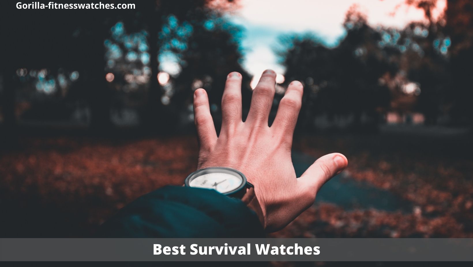 best survival watches