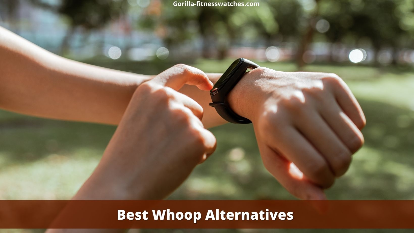Best Whoop Alternatives