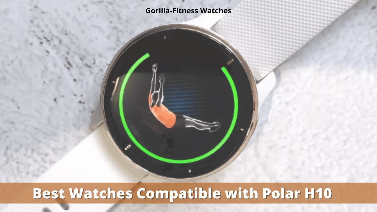 Best Watches Compatible with Polar H10